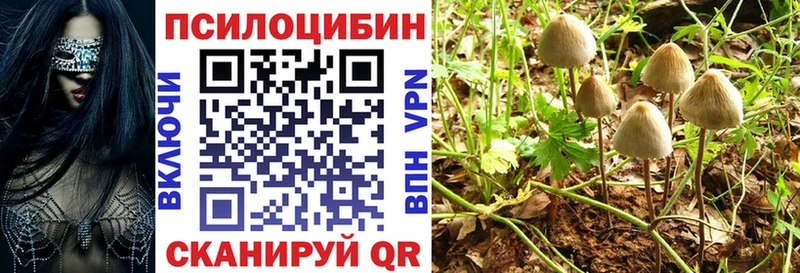 Купить закладки  Нижний Ломов  Галлюциногенные грибы Psilocybe 